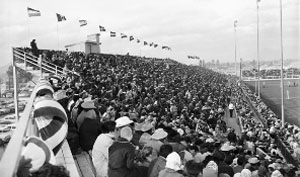 1959 Rodeo Crowd Shot - Feb 21 1959